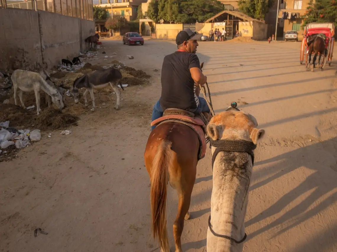 camel ride through the town of Gyza