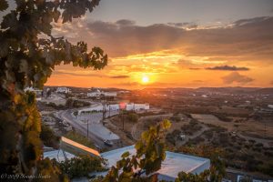 sunrise view through grape vines on a balcony in milos