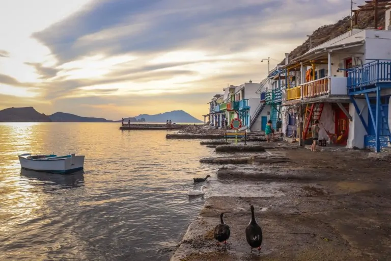 a pair of ducks walking along the seaside in Klima at sunset