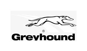 blogging and travel resource greyhound logo