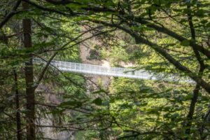 the tibetan suspension bridge in trentino seen through the trees
