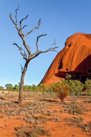 uluru ayers rock in australia
