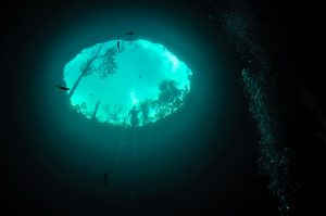 underwater view of calavera cave cenote