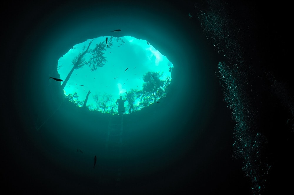 underwater view of calavera cave cenote