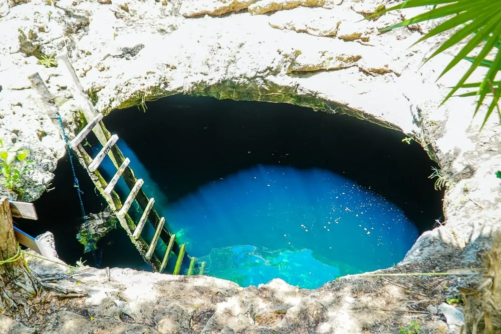 view of the ladder descending into cenote calavera