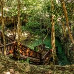 The 5 Best Cenotes in Tulum to See in 2020